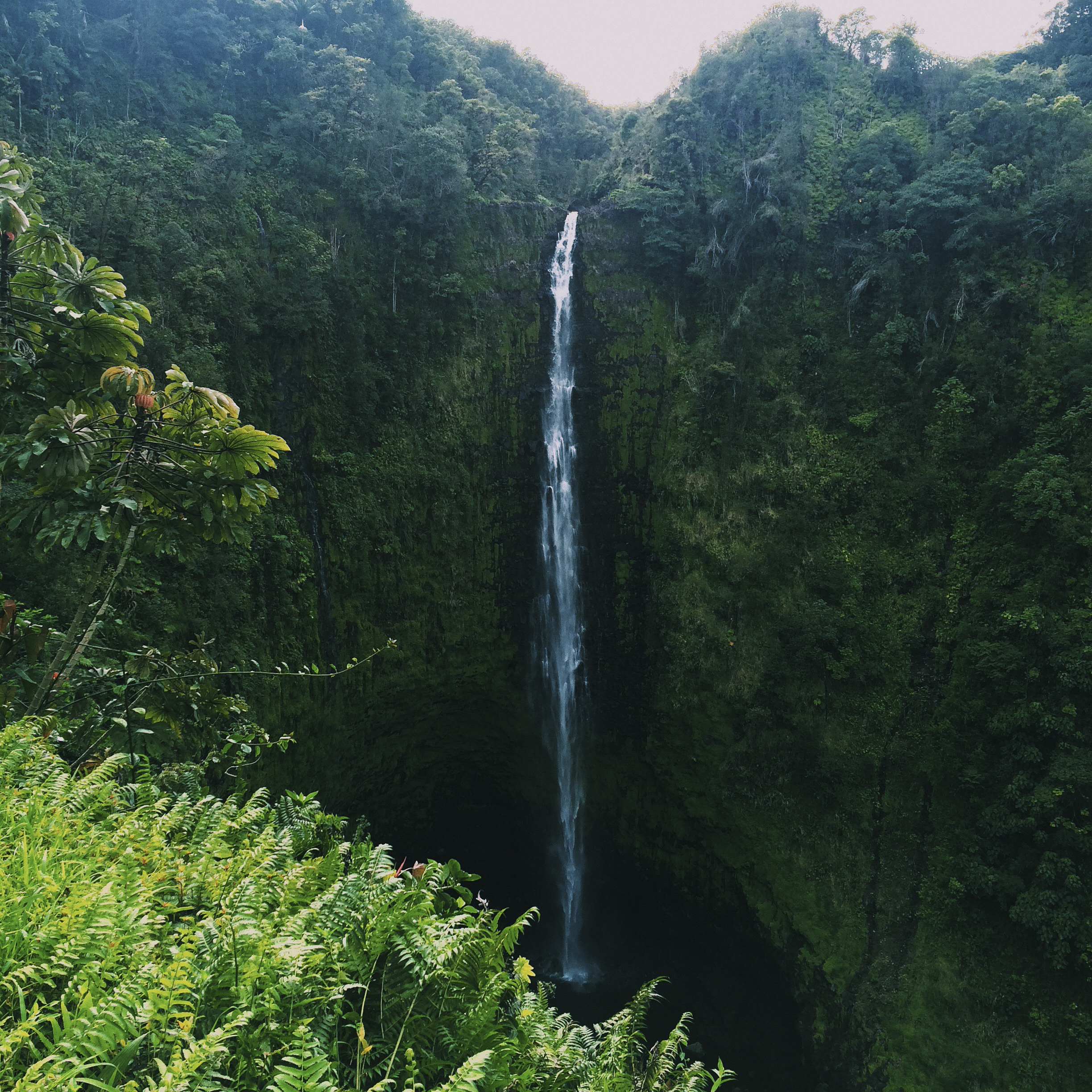 big island, hawaii instagram diary
