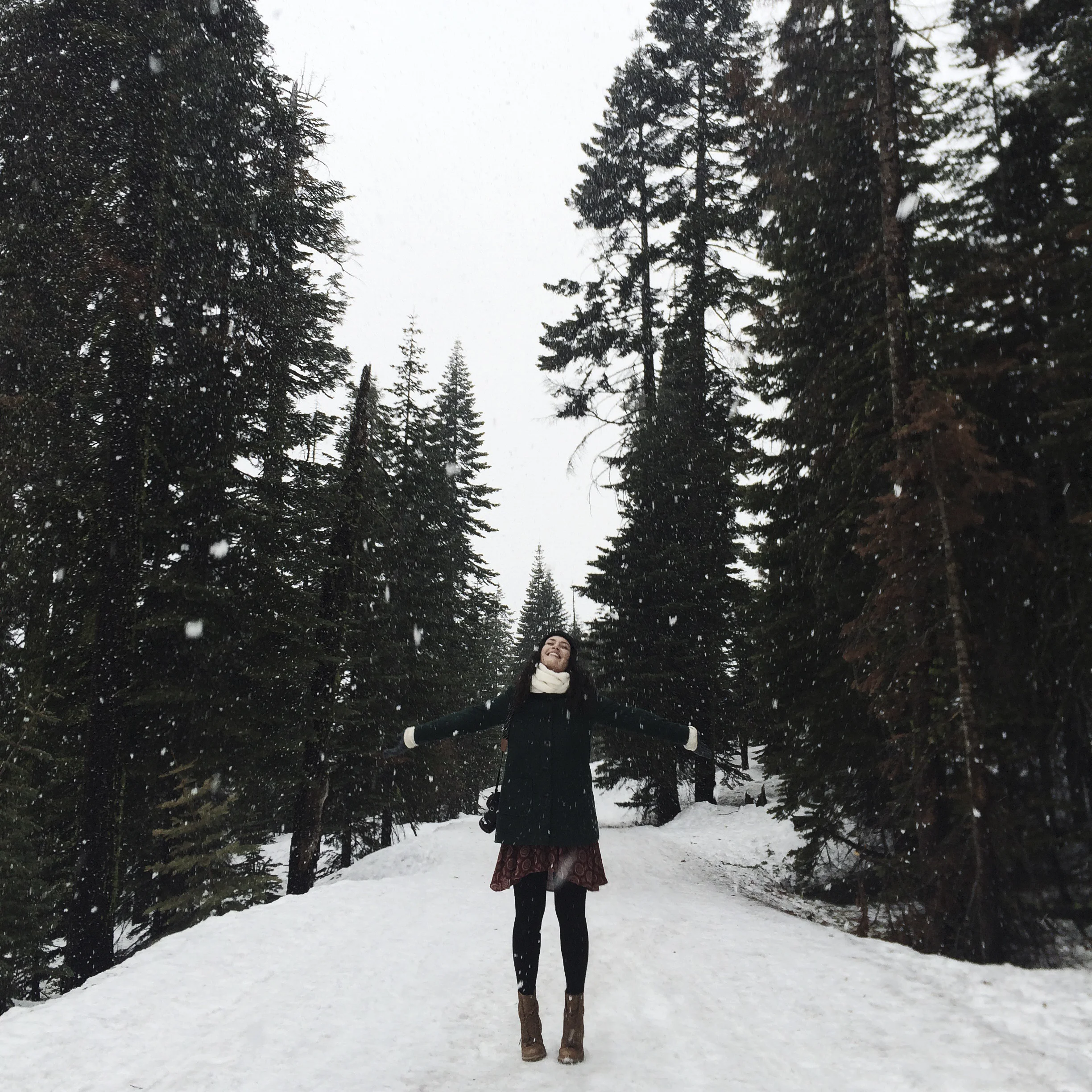 yosemite instagram diary
