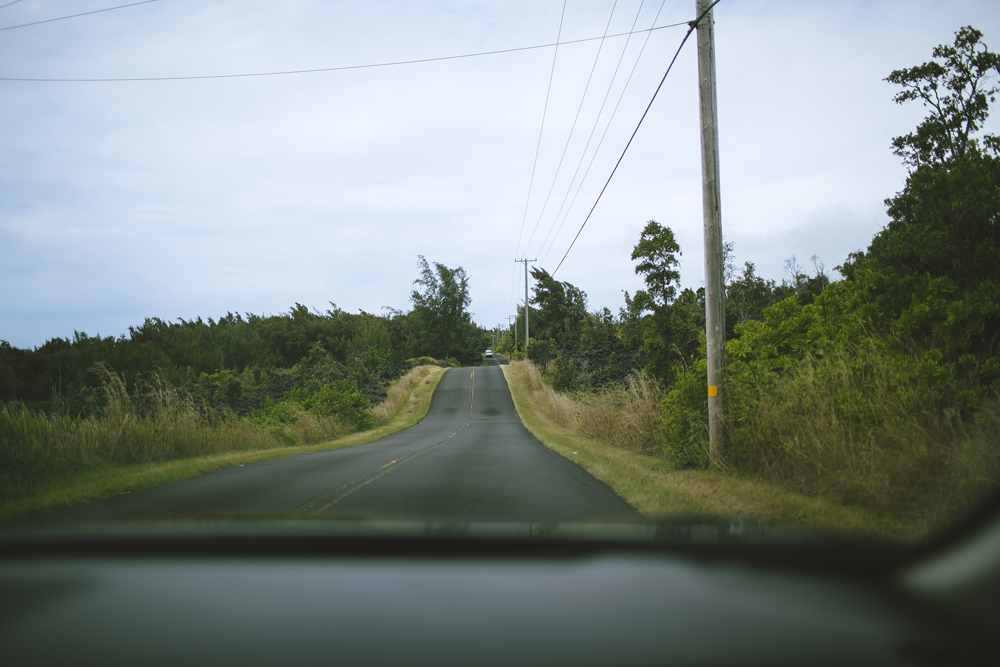 hawaii_002.jpg