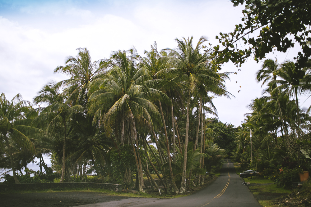 hawaii_003.jpg