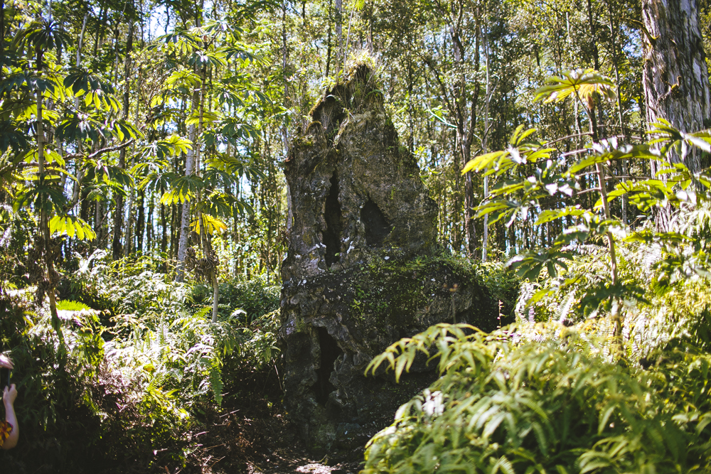 hawaii_092.jpg
