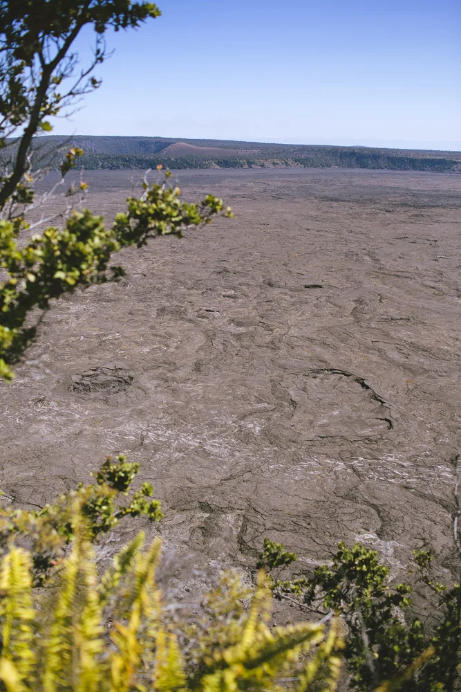 hawaii_100.jpg