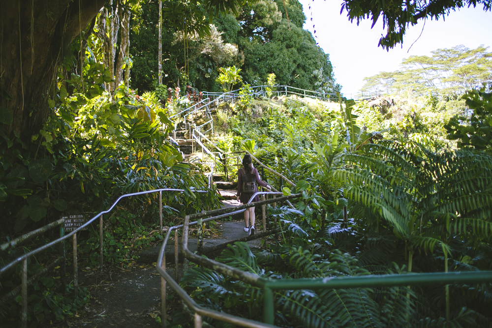 hawaii-waterfalls_003.jpg