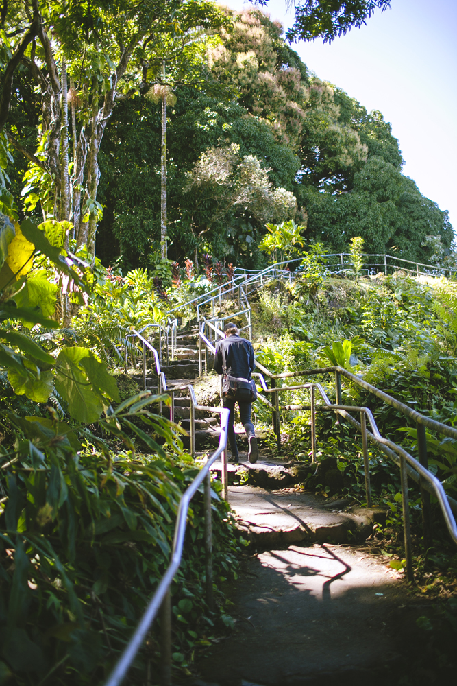 hawaii-waterfalls_008.jpg