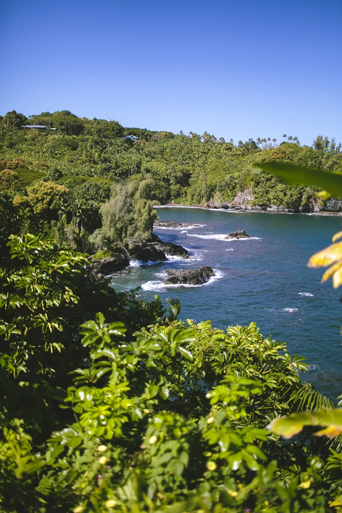 hawaii-waterfalls_023.jpg