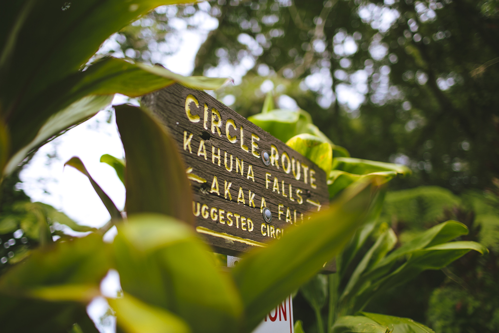 hawaii-waterfalls_026.jpg