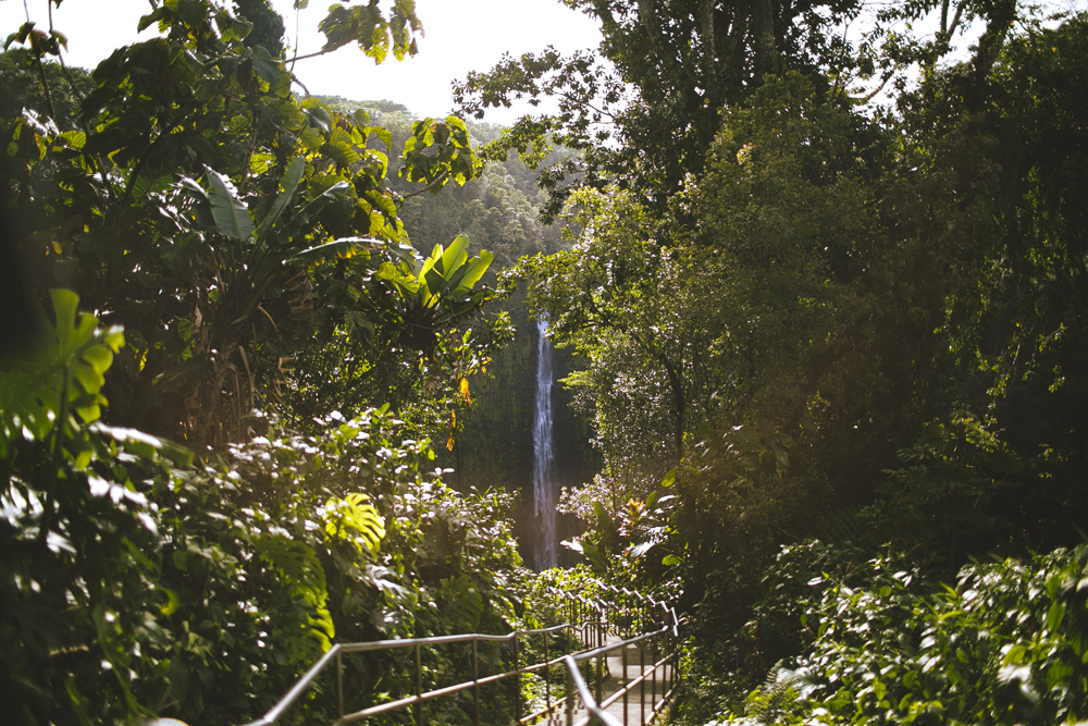 hawaii-waterfalls_032.jpg