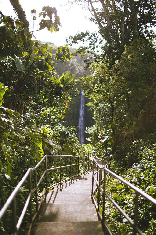 hawaii-waterfalls_034.jpg