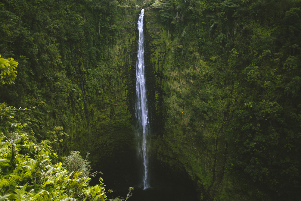 hawaii-waterfalls_040.jpg