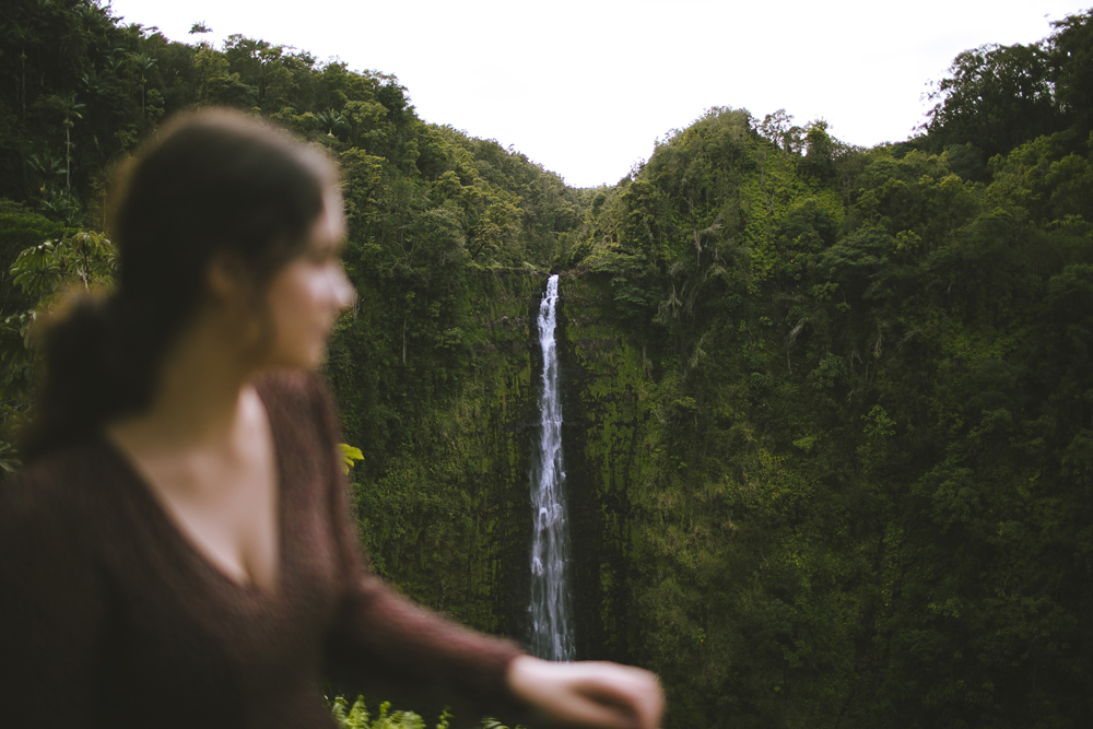 hawaii-waterfalls_042.jpg