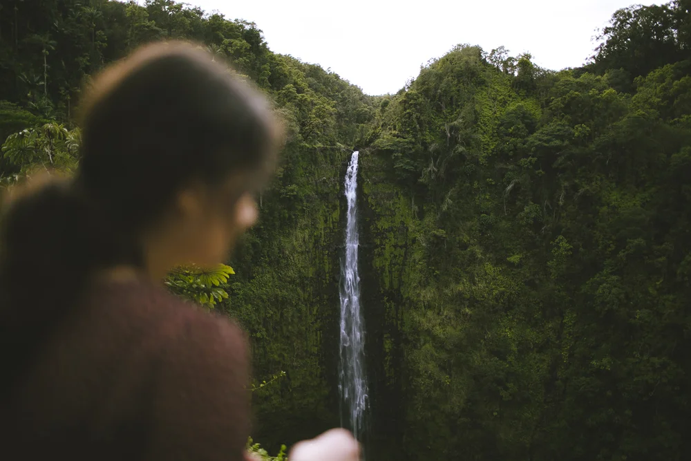 hawaii-waterfalls_043.jpg