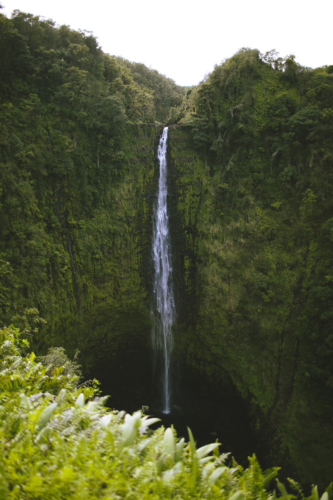 hawaii-waterfalls_044.jpg