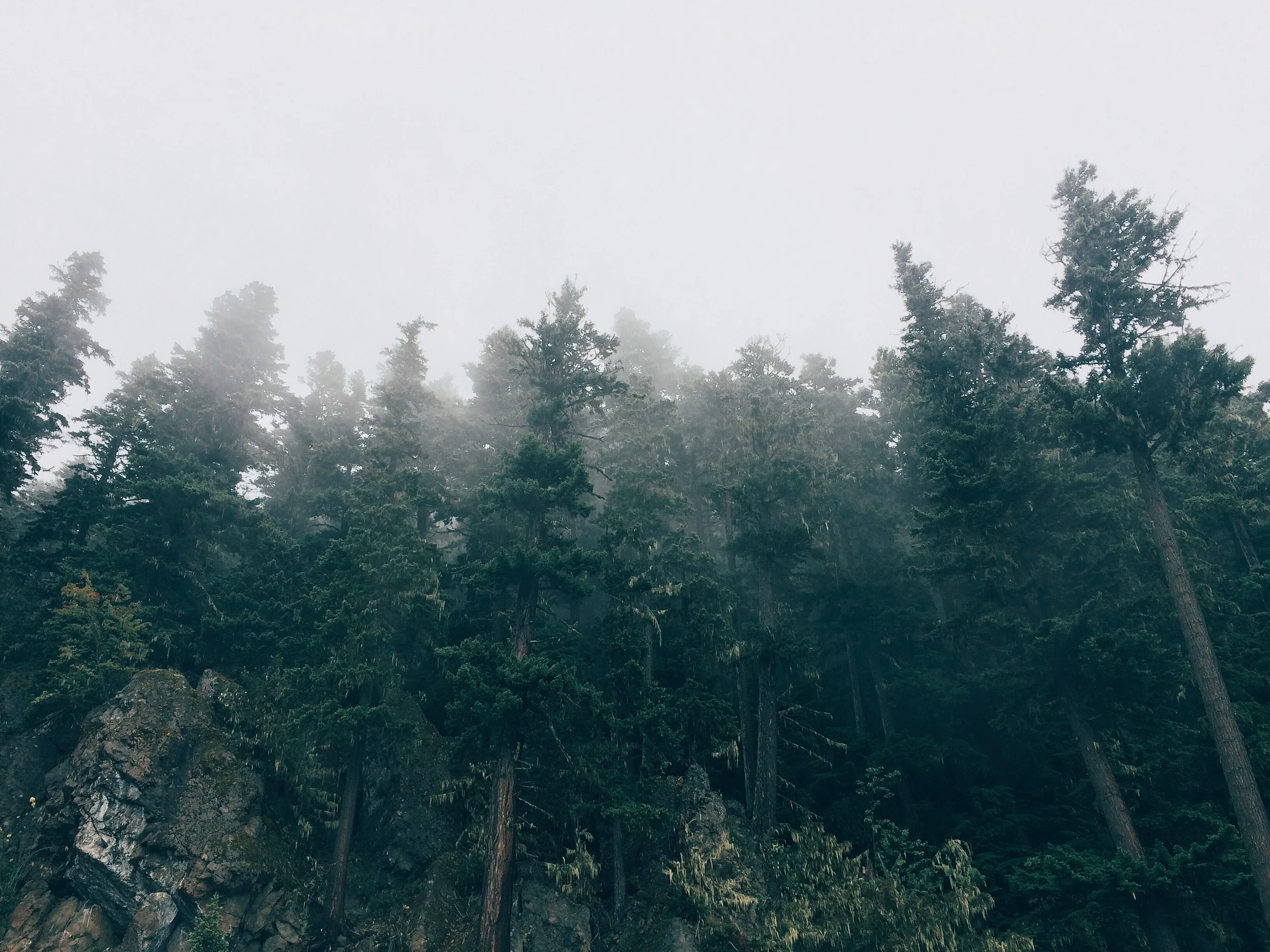 washington instagram diary