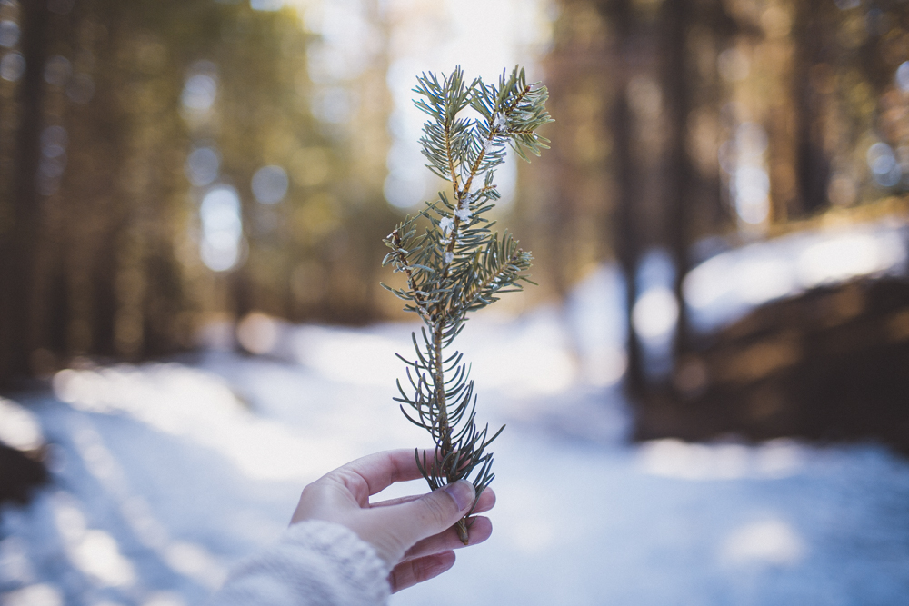 julia-trotti_yosemite-07.jpg