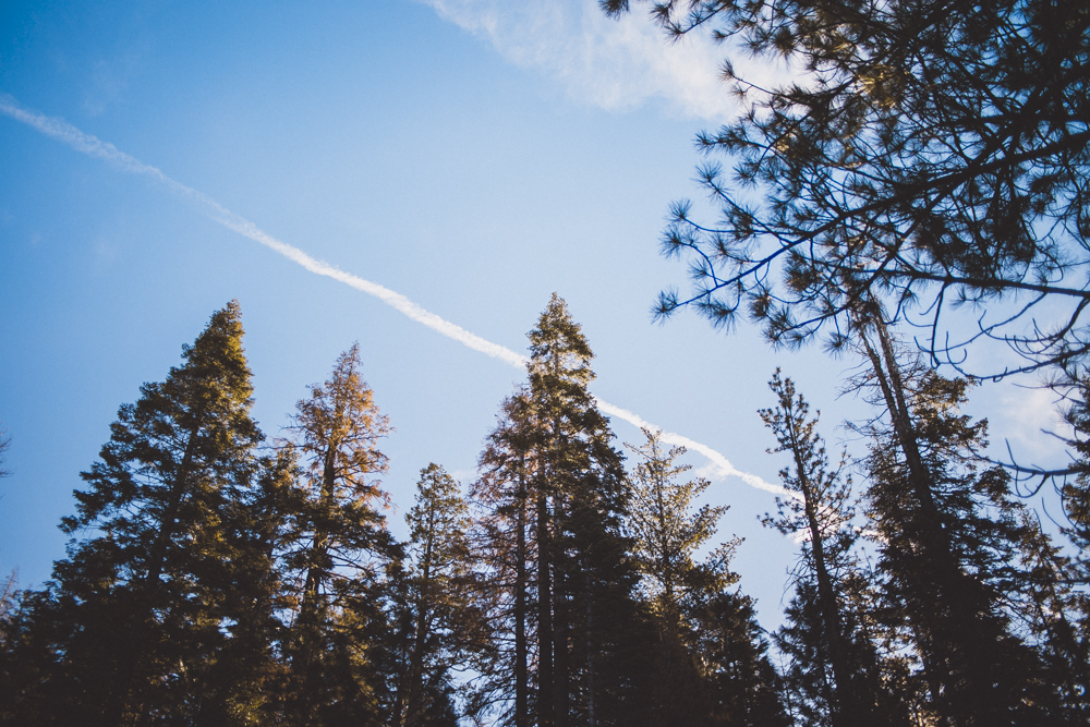 julia-trotti_yosemite-11.jpg