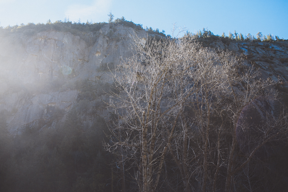 julia-trotti_yosemite-17.jpg
