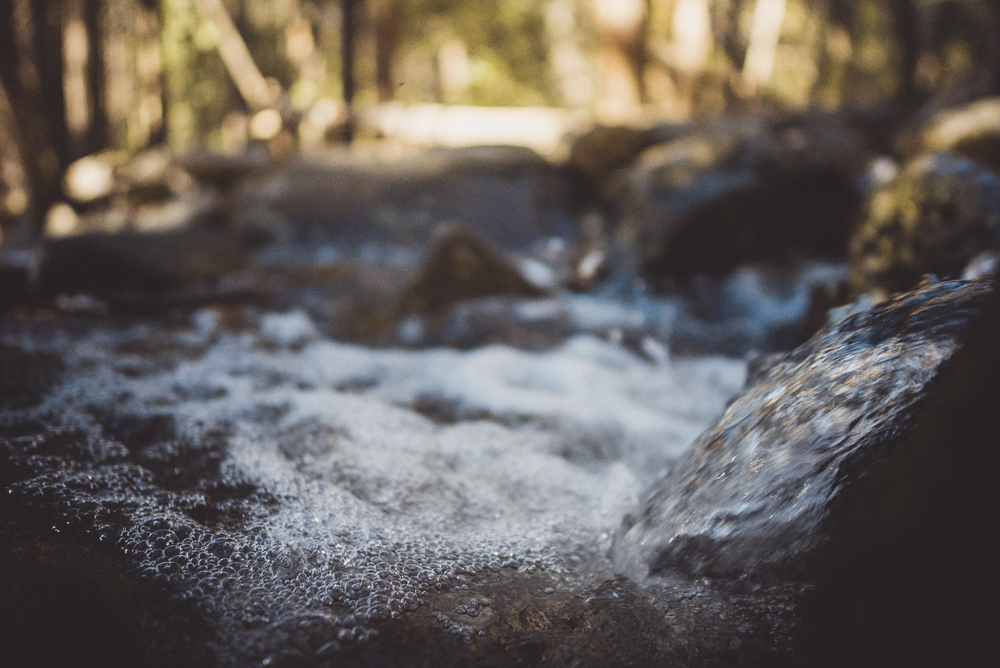 julia-trotti_yosemite-36.jpg