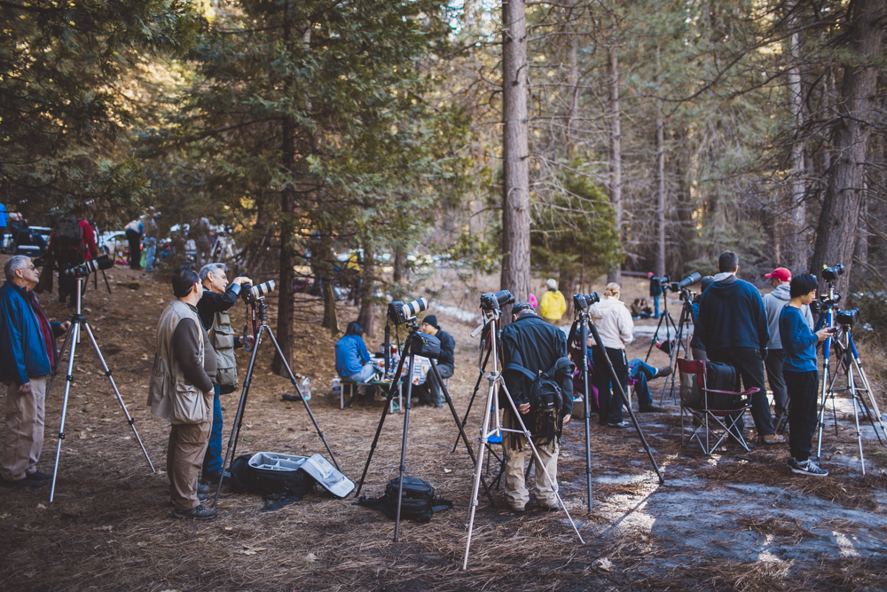 julia-trotti_yosemite-41.jpg