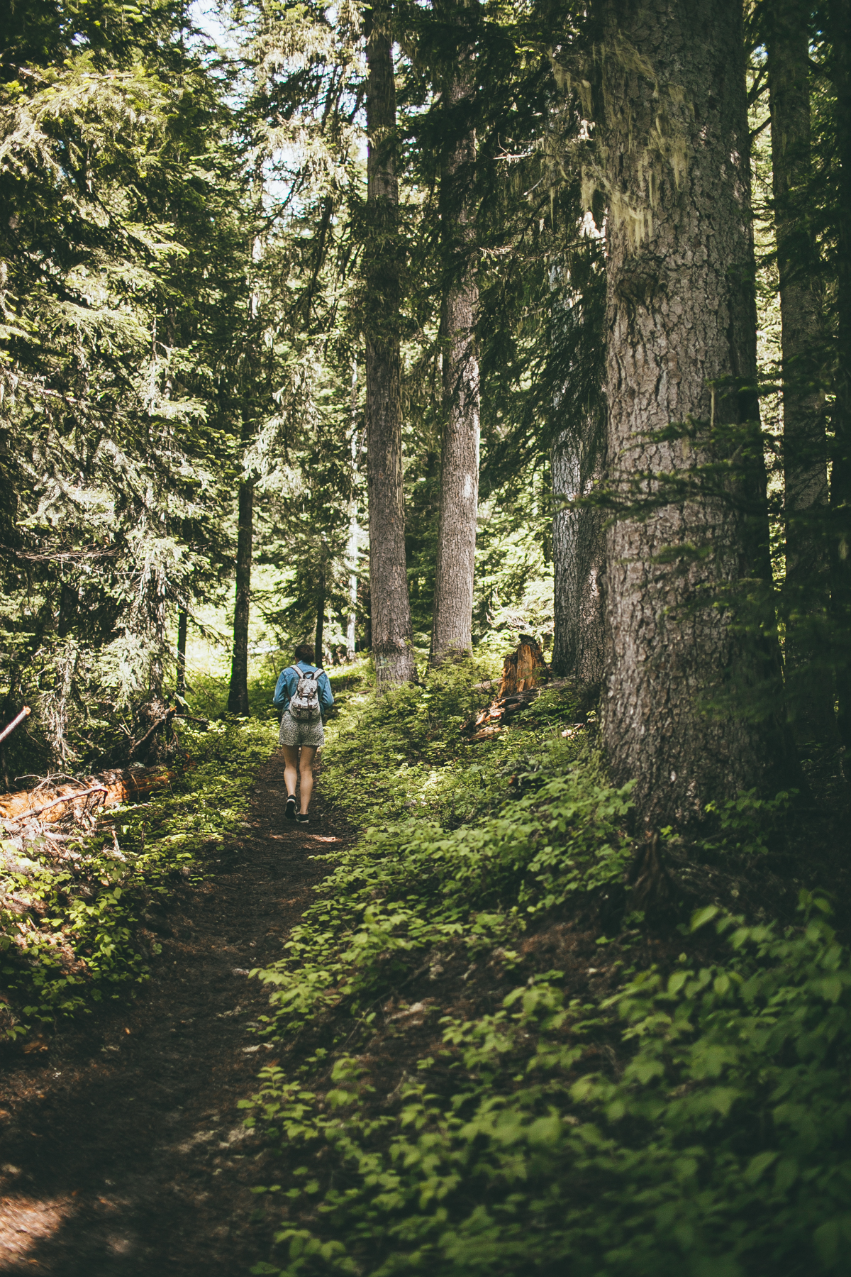 julia-trotti_north-cascades_015.jpg