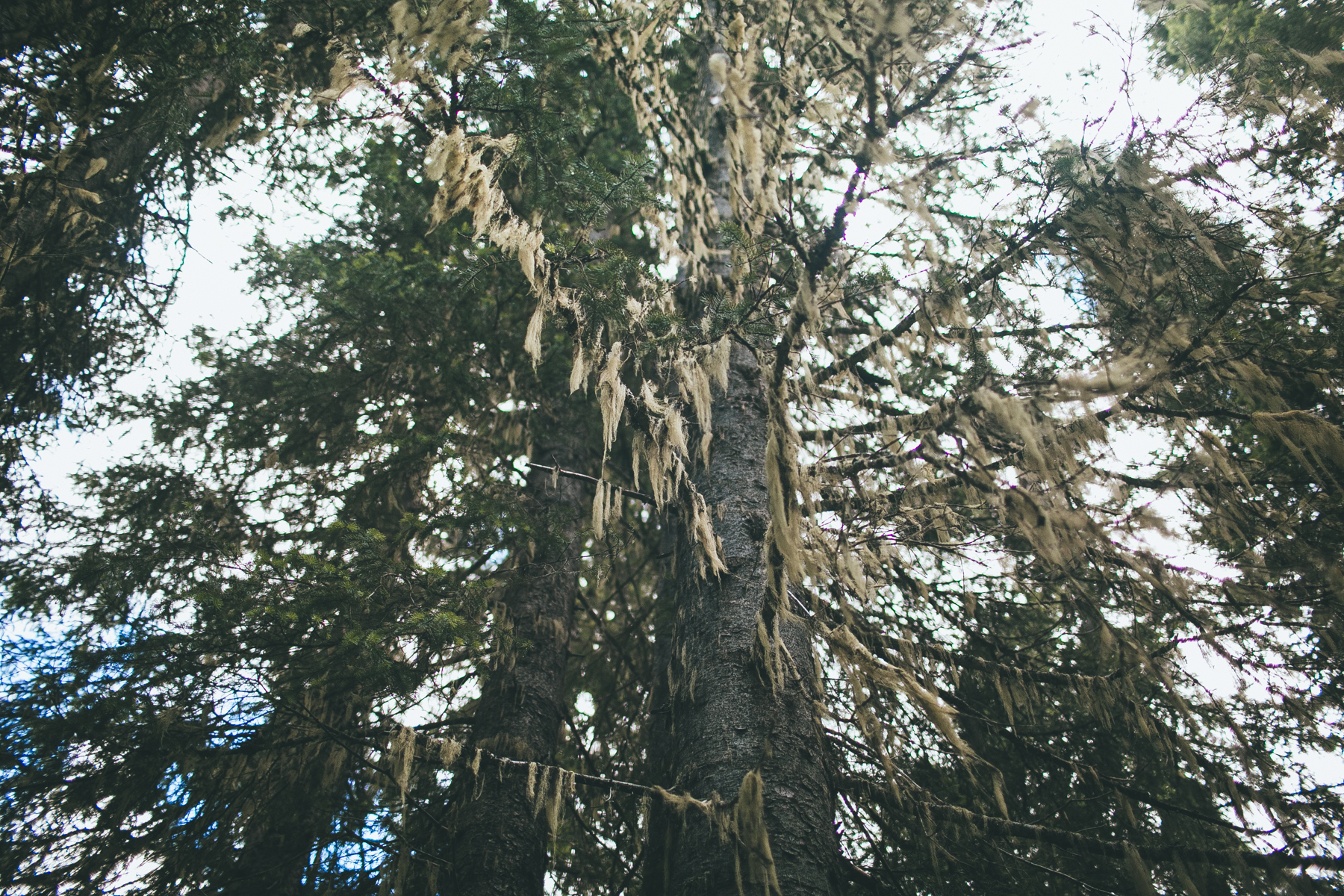 julia-trotti_north-cascades_027.jpg
