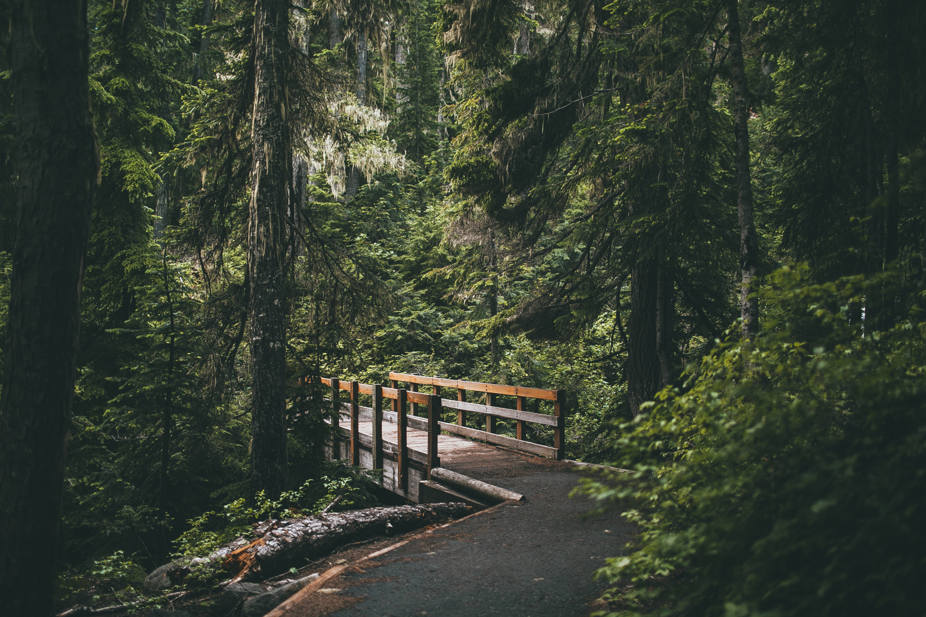 julia-trotti_north-cascades_031.jpg