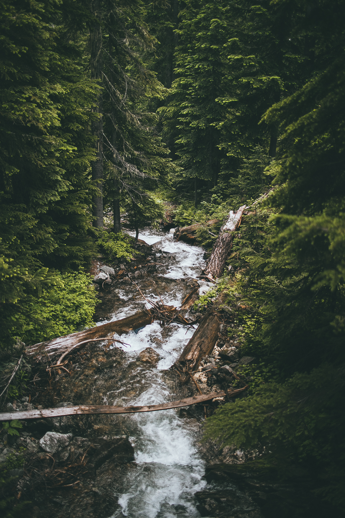 julia-trotti_north-cascades_032.jpg