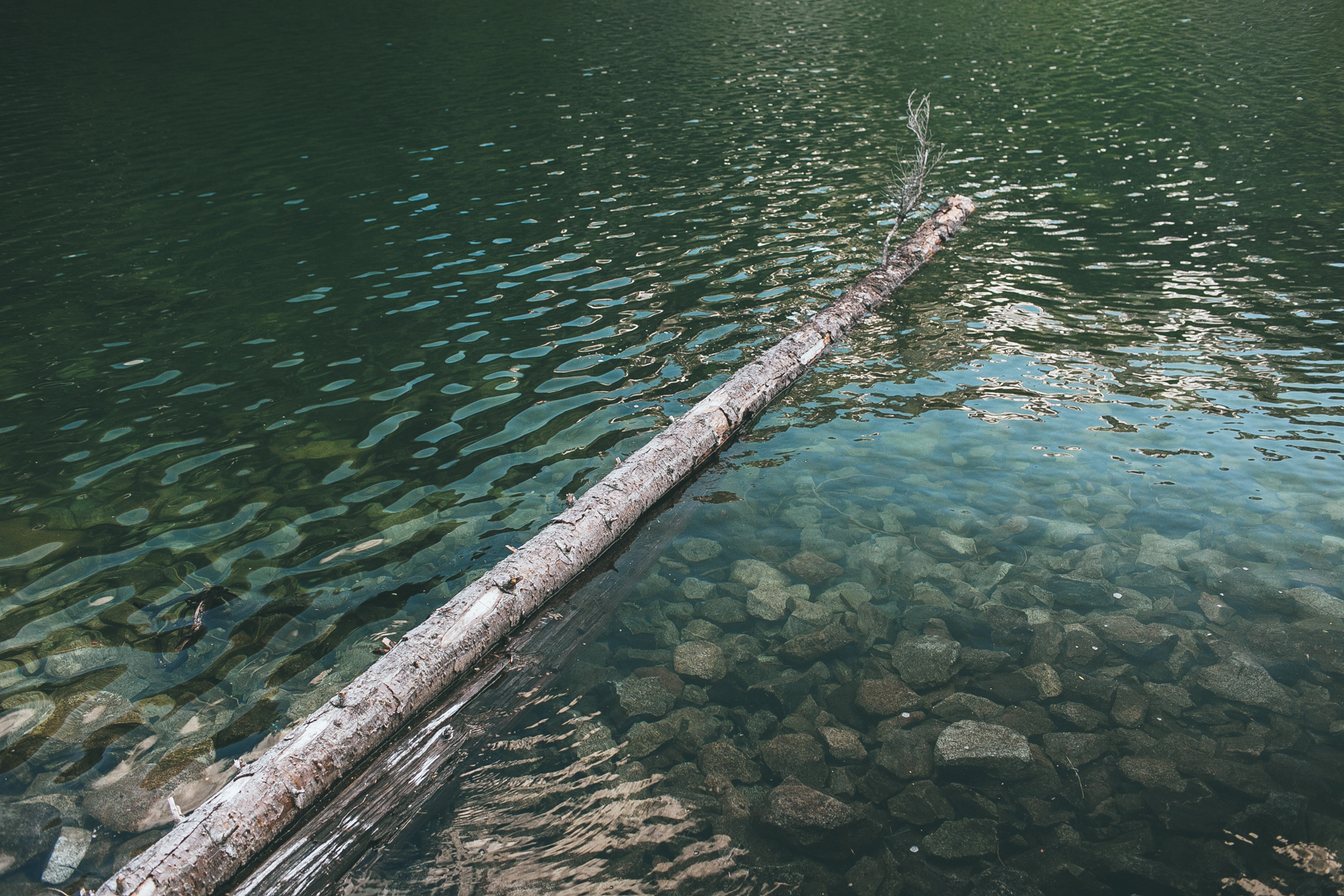 julia-trotti_north-cascades_039.jpg