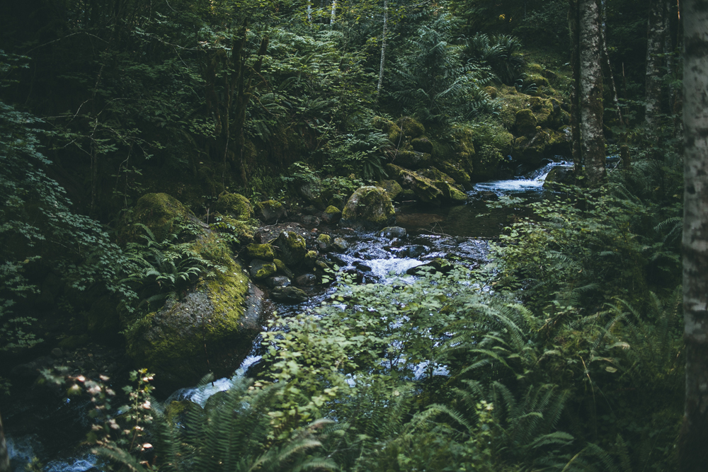 julia-trotti_mt-rainier_009.jpg