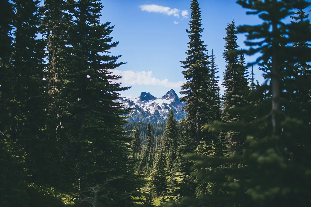julia-trotti_mt-rainier_010.jpg