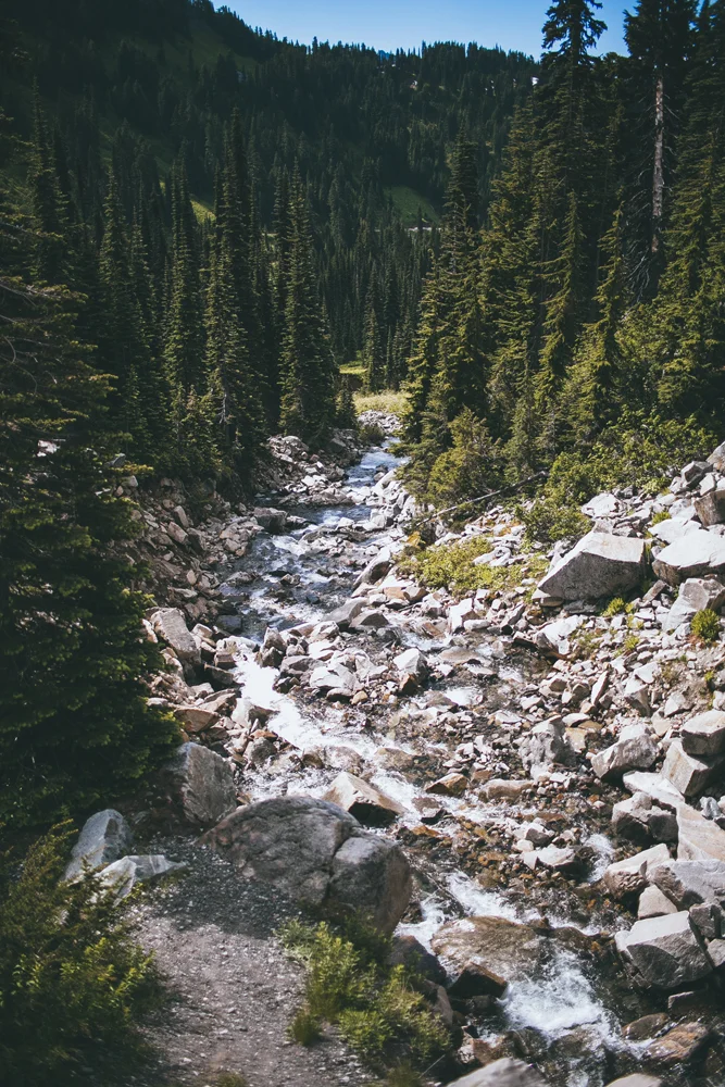 julia-trotti_mt-rainier_014.jpg