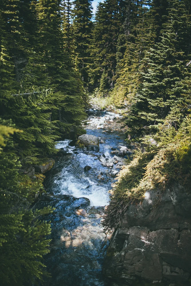 julia-trotti_mt-rainier_034.jpg