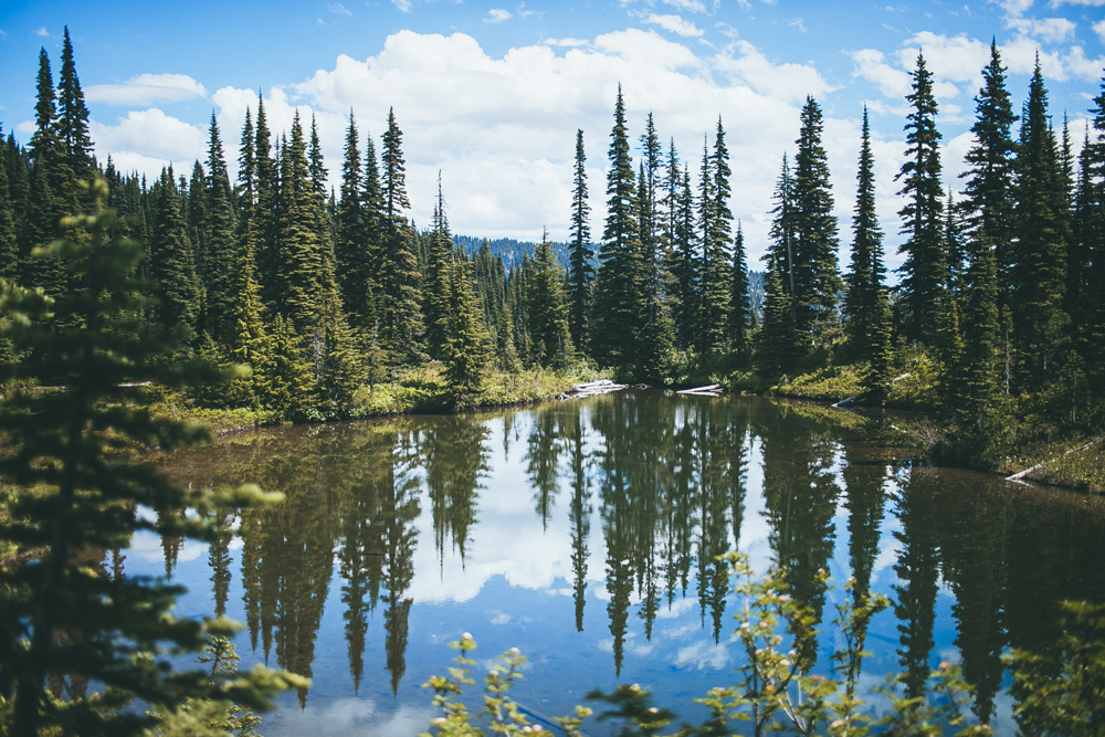 julia-trotti_mt-rainier_055.jpg