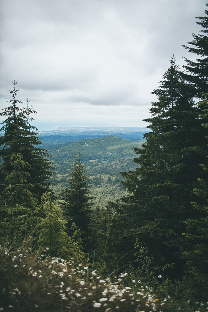 julia-trotti_olympic-np_005.jpg