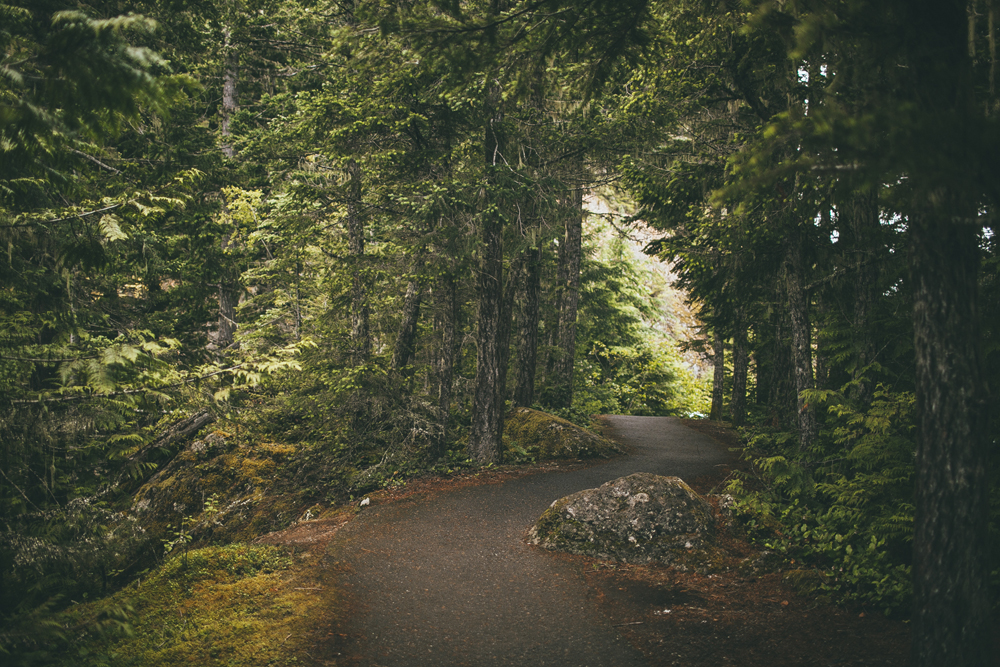 julia-trotti_olympic-np_013.jpg