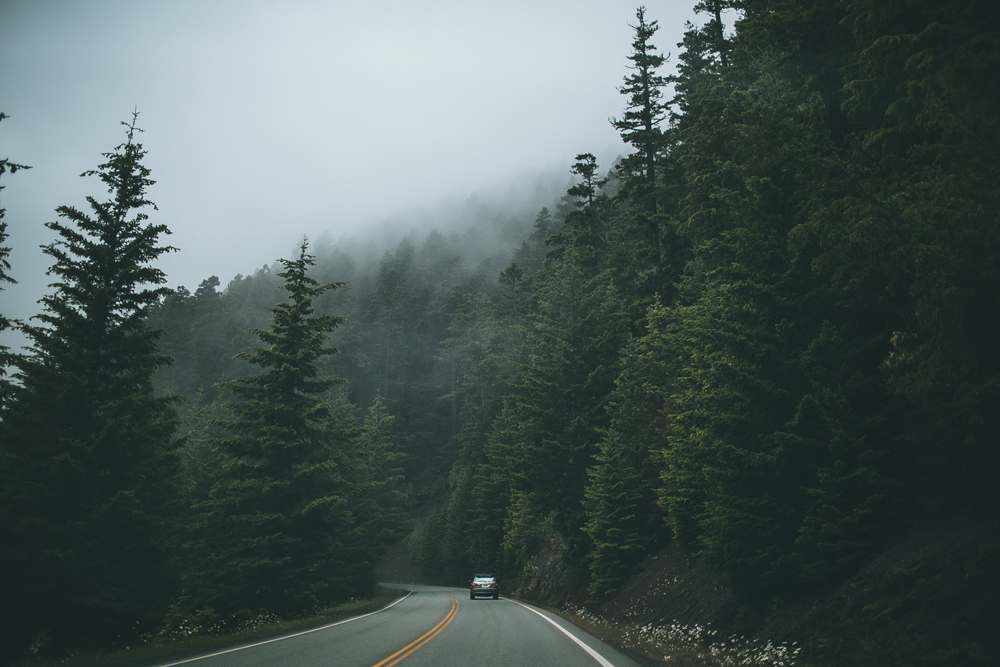 julia-trotti_olympic-np_016.jpg