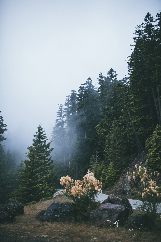 julia-trotti_olympic-np_017.jpg