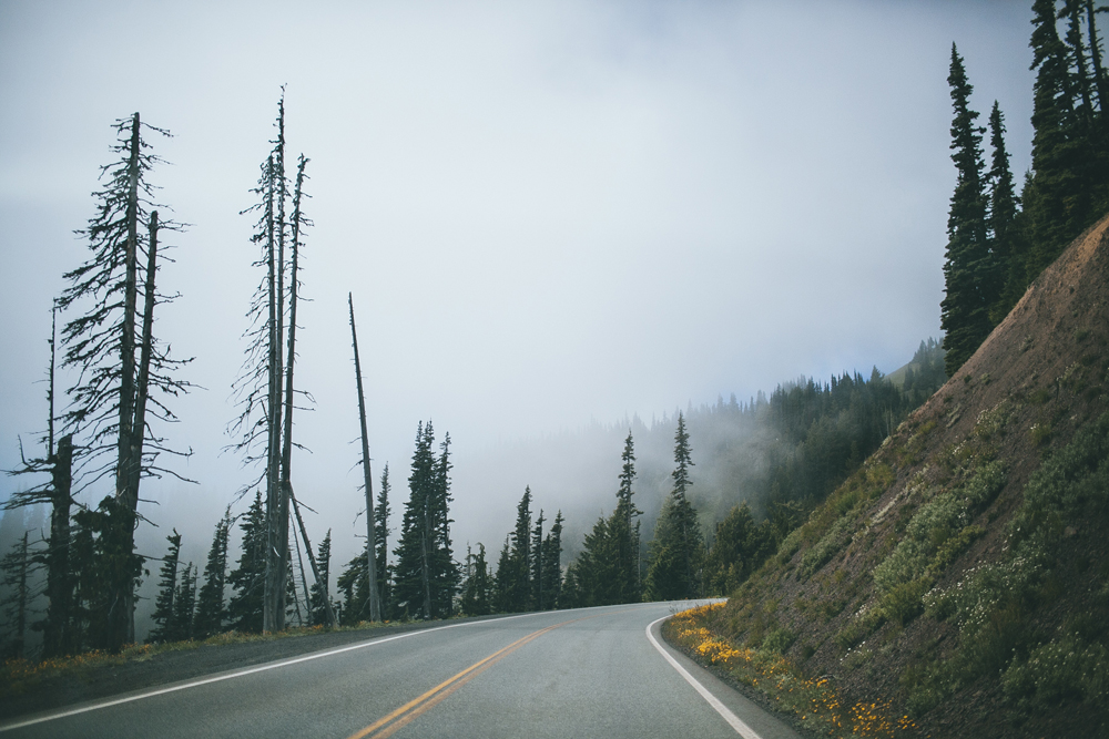 julia-trotti_olympic-np_021.jpg
