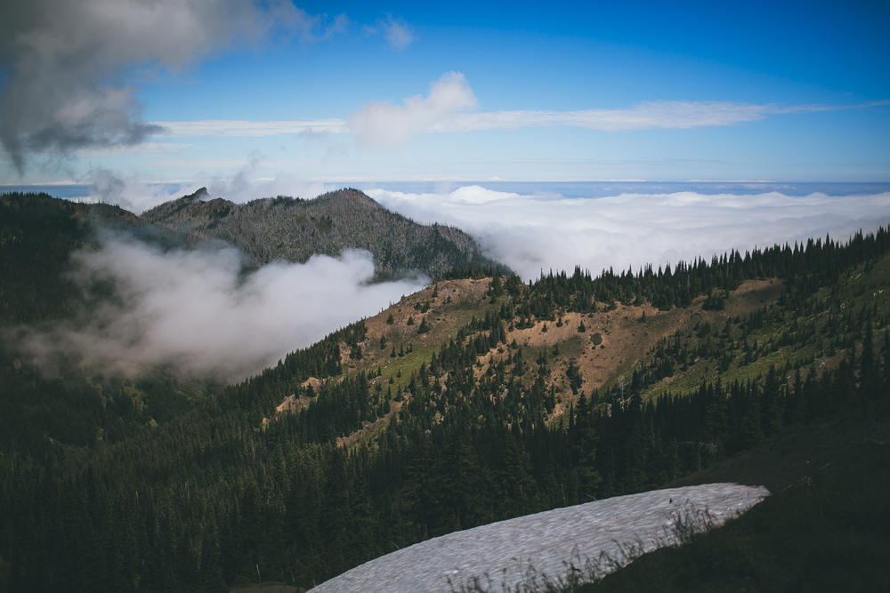 julia-trotti_olympic-np_025.jpg