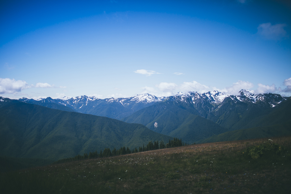 julia-trotti_olympic-np_028.jpg