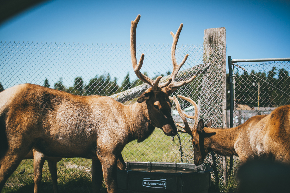 julia-trotti_olympic-np_047.jpg