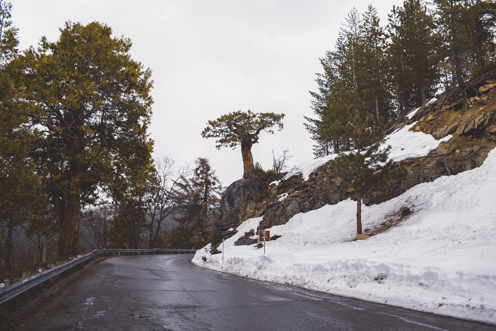 julia-trotti_yosemite_067.jpg