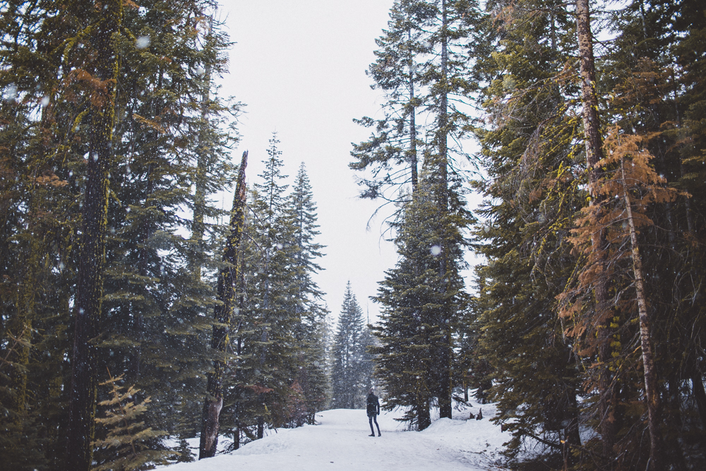 julia-trotti_yosemite_092.jpg