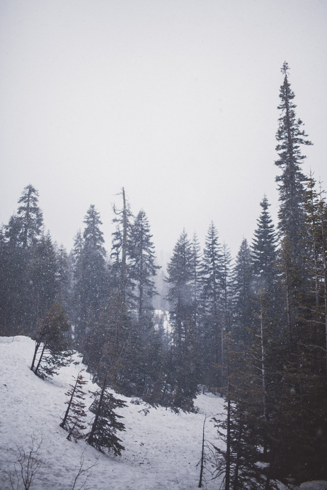 julia-trotti_yosemite_098.jpg