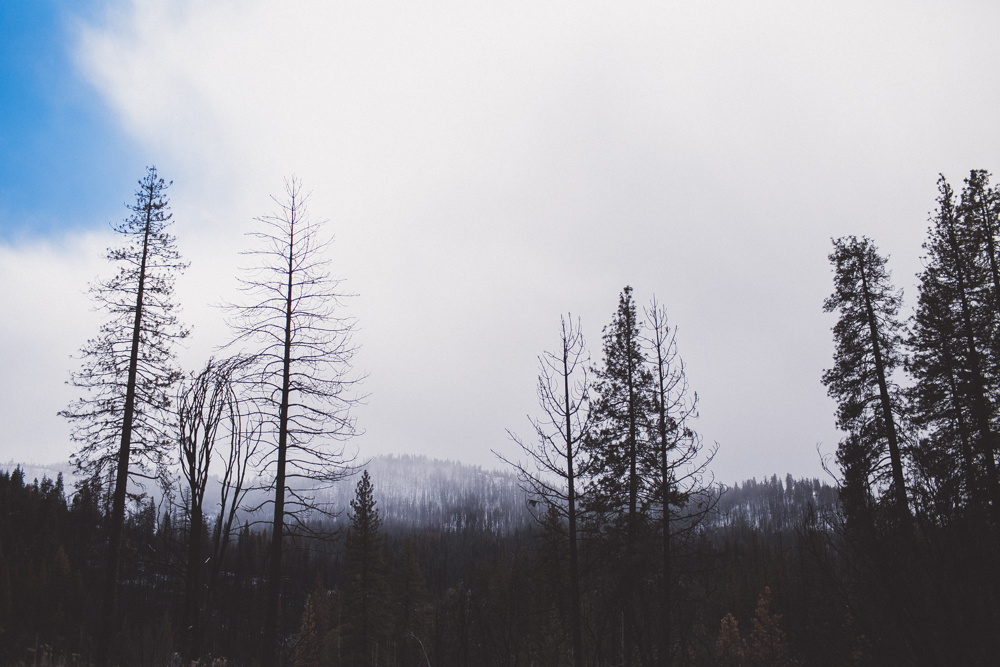 julia-trotti_yosemite_108.jpg