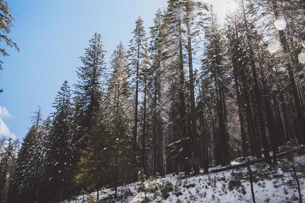 julia-trotti_yosemite_116.jpg