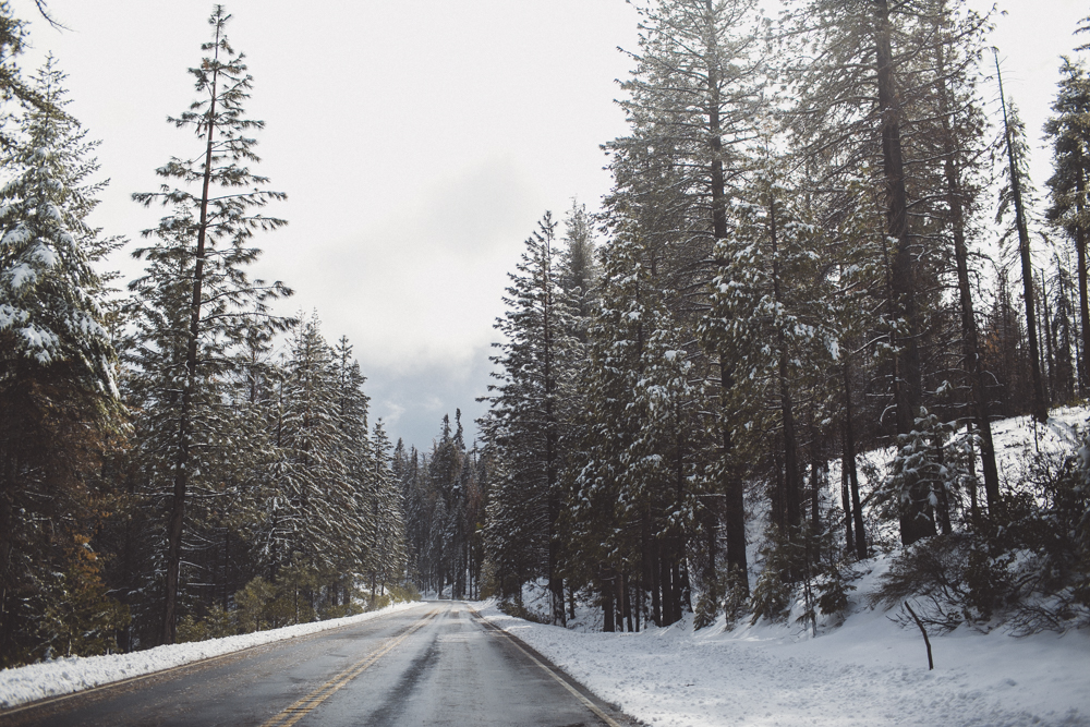 julia-trotti_yosemite_122.jpg