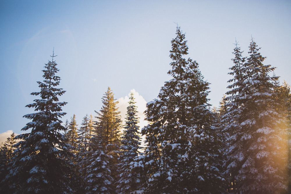 julia-trotti_yosemite_167.jpg