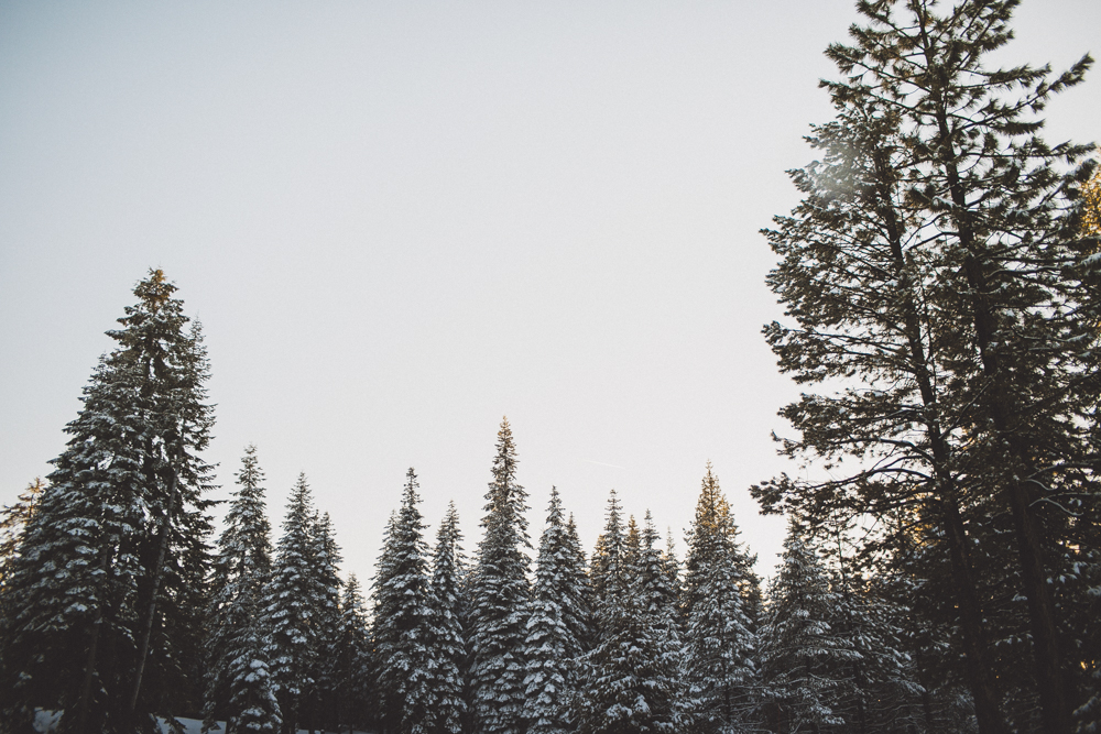 julia-trotti_yosemite_170.jpg