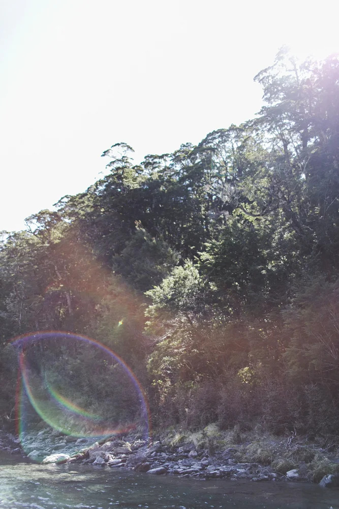 julia-trotti_wanaka_085.jpg