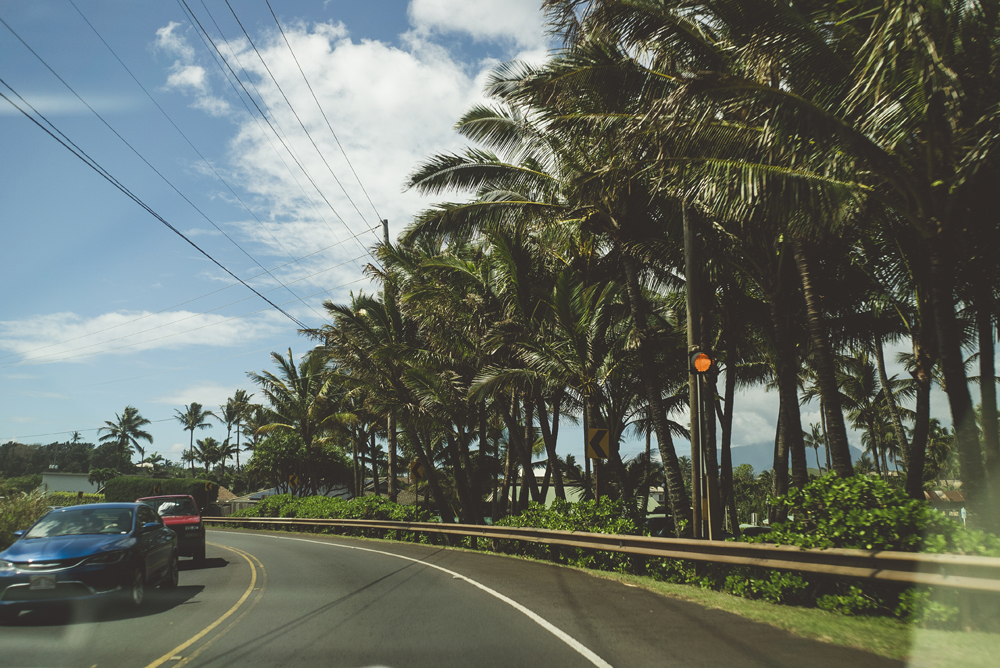 maui_29.jpg